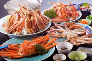 20.02.03. カニフル