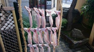 28-10-22-%e3%82%ab%e3%83%9e%e3%82%b9-%e4%b8%80%e5%a4%9c%e5%b9%b2%e3%81%97